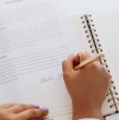La legislación chilena vigente establece ciertas consideraciones y estatutos que aplican para los empleados que deseen tener dos contratos laborales al mismo tiempo.