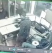Durante la mañana de este domingo 24 de mayo una familia denunció haber sido víctima de un tour delictual luego de que delincuentes concretaran dos robos durante la misma noche.