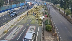 Prisión preventiva para conductor de camión que provocó accidente fatal en Renca: Manejaba bajo los efectos del alcohol