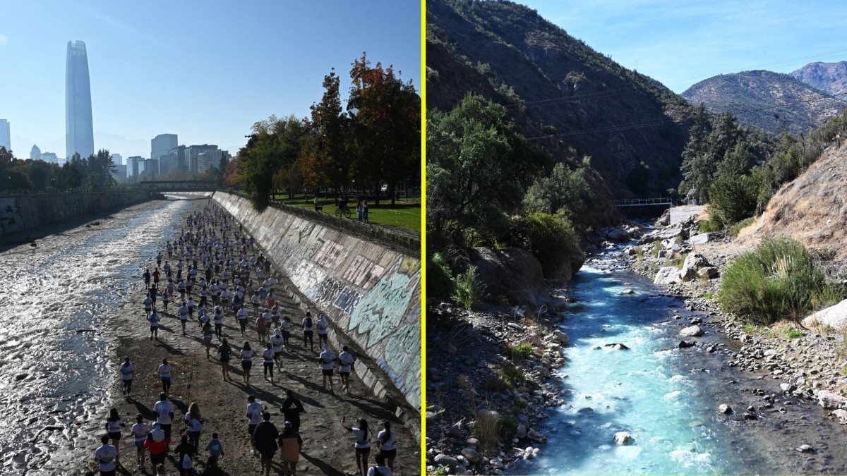 Así cambió el río Mapocho: De aguas contaminadas al regreso de especies nativas