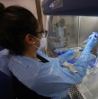El Minsal emitió una alerta epidemiológica en Chile por el brote de ébola Bundibugyo en Congo y Uganda. El oficio refuerza vigilancia, protocolos clínicos y monitoreo de viajeros ante el riesgo de casos importados.