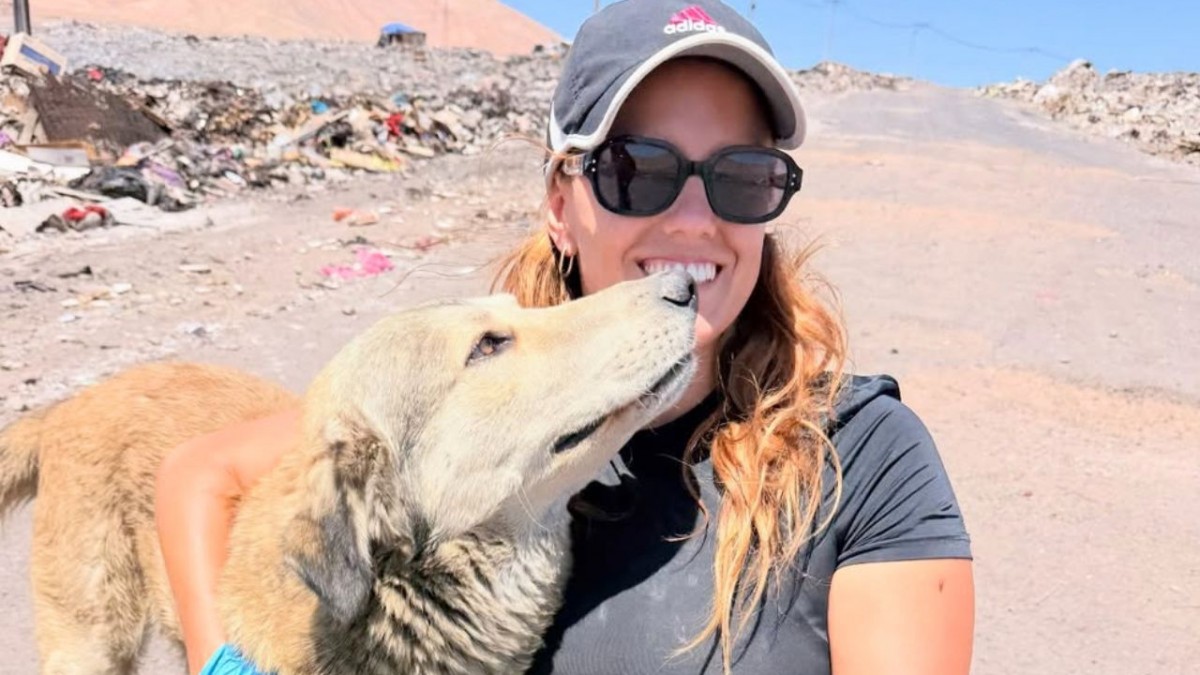 'Representan lealtad': La historia de la joven chilena que se dedica a rescatar perros abandonados en el desierto de Atacama