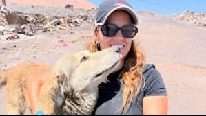 'Representan lealtad': La historia de la joven chilena que se dedica a rescatar perros abandonados en el desierto de Atacama