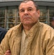Un sobrino del capo mexicano Joaquín El Chapo Guzmán fue capturado durante un operativo en México, informó este martes la Secretaría de Seguridad. ¡Todos los antecedentes en esta nota!