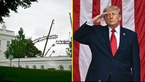 Trump convertirá la Casa Blanca en un ring de pelea: Prepara histórico evento de UFC por su cumpleaños