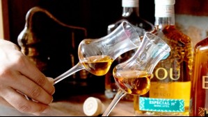 Pisquera chilena relanza histórica marca: Mantiene el proceso artesanal