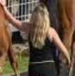 El video dura apenas 10 segundos, pero fue suficiente para volverse viral en todo el mundo: una trabajadora ecuestre recibe una potente patada doble de un caballo de carreras, sale disparada por los aires y cae al suelo