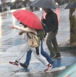 Tras 20 días sin lluvias en muchos sectores del sur del país, finalmente llovió. Se espera, además, que otro sistema frontal llegue la próxima semana e incluso alcance parte de la zona central.