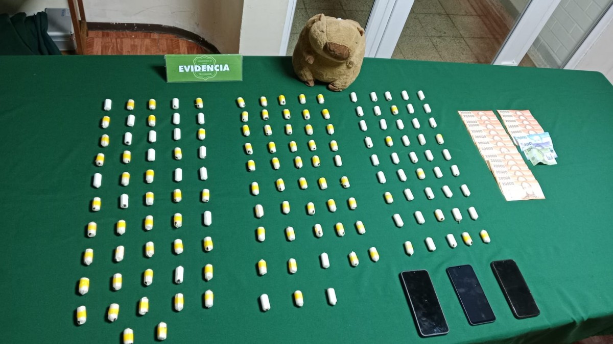 Mujeres escondían ovoides de cocaína en un peluche de capibara: Perro de Carabineros fue clave en operativo