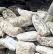 El equipo de Testigos en la Frontera recorrió las zonas fronterizas de Chile con Bolivia y Argentina, mostrando operativos simultáneos contra el crimen organizado. La policía logró interceptar una van con 368 paquetes de marihuana.