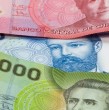 La ministra de Desarrollo Social y Familia, María Jesús Wulf (REP), entregó mayores detalles del nuevo bono de $30 mil anunciado en la Cuenta Pública, explicando si este tendrá o no un tope por hijo. ¡Detalles!
