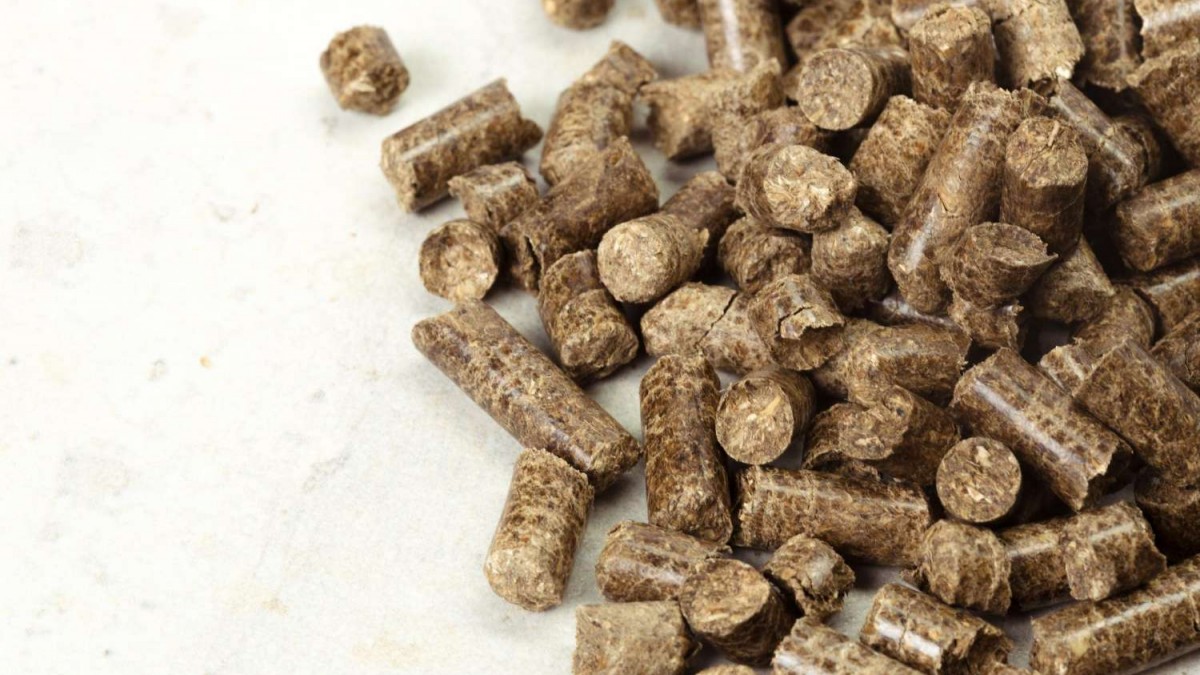Empresa nacional de pellets anunció su quiebra: ¿Cuáles son los motivos?