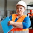 Como todos los años, el Bono al Trabajo de la Mujer, tendrá su pago anual próximamente en 2026. Revisa cuándo se entregará el beneficio y quiénes pueden recibirlo.