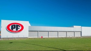 PF busca trabajadores en distintas regiones del país: Revisa las ofertas laborales disponibles