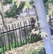 Vecinos de un condominio en la comuna de San Miguel han denunciado múltiples intentos de robo en los últimos dos meses, incluyendo un intento de turbazo en la madrugada del pasado viernes.