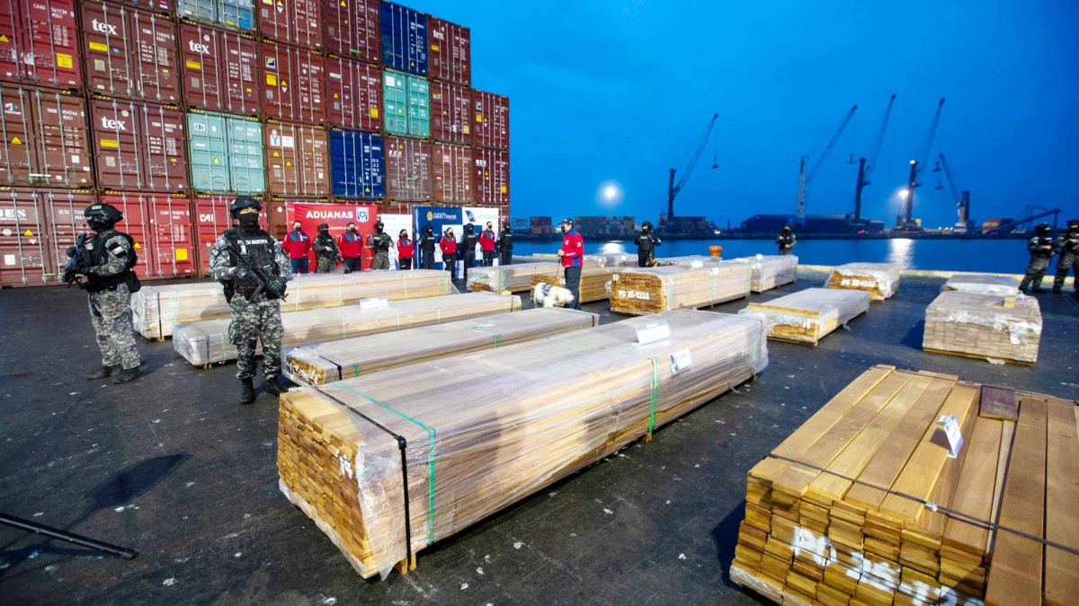 Gran decomiso de droga en puertos chilenos: Incautan más de 100 toneladas ocultas en cargamentos de madera