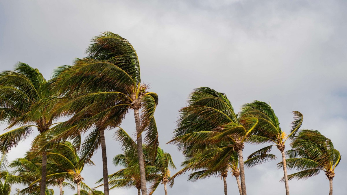 Alerta en Centroamérica por tormenta tropical Cristina: Vientos de 75 kilómetros por hora se acercan a la costa