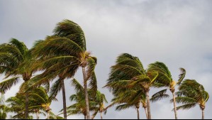 Alerta en Centroamérica por tormenta tropical Cristina: Vientos de 75 kilómetros por hora se acercan a la costa