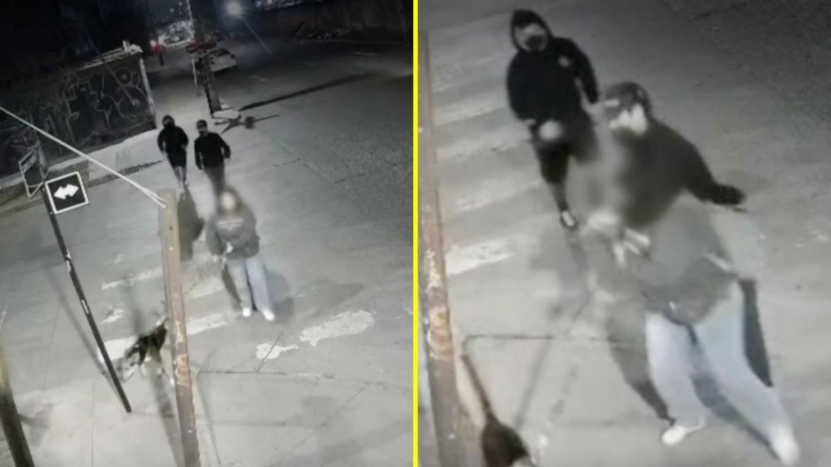 Video muestra violento asalto a mujer que paseaba a su perrita: La golpearon y le robaron comida para perros