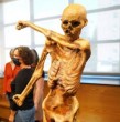 Un grupo de investigadores recuperó levaduras viables desde el cuerpo de Ötzi, la famosa momia hallada en los Alpes, permitiendo elaborar pan y abrir una inédita ventana al estudio de los microorganismos.