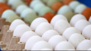 Sernac fiscaliza venta de huevos: Detecta irregularidades en etiquetado y aclara que concepto 'gallinas felices' no es legal