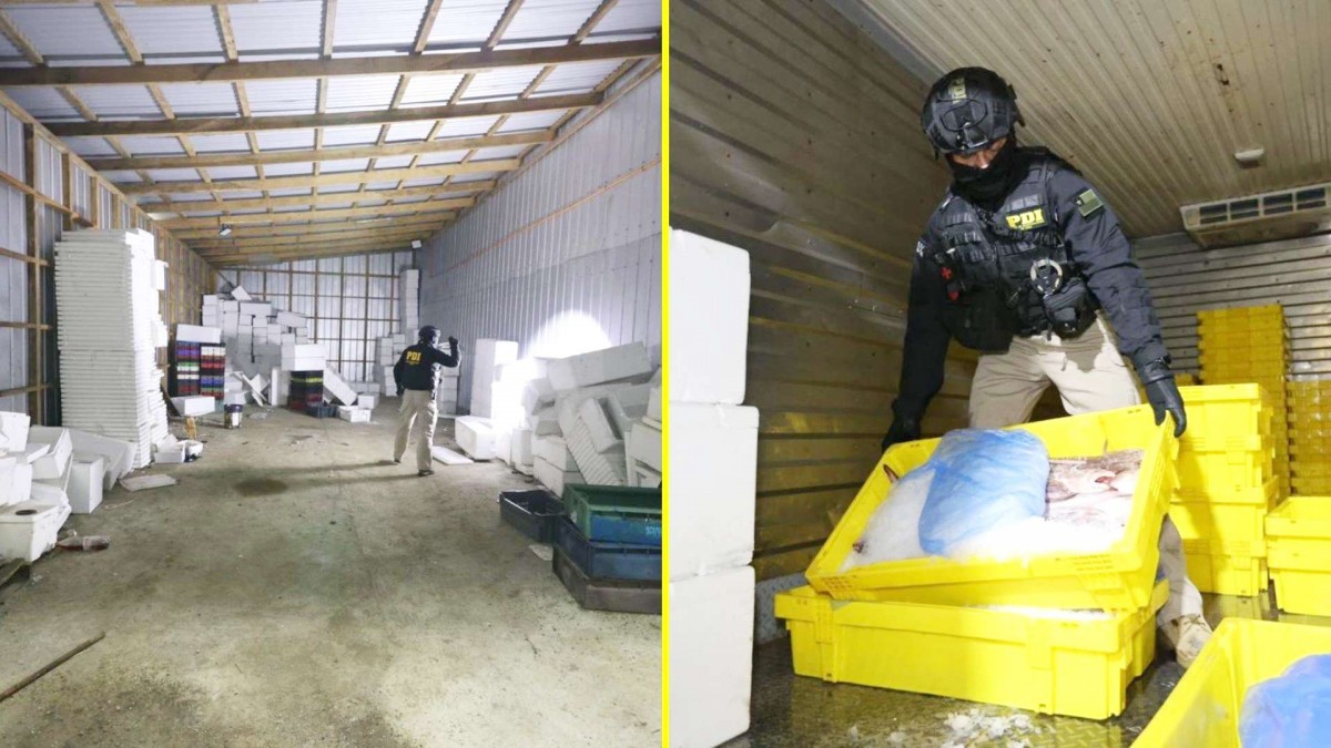 'Redes de corrupción': Así operaba la banda dedicada a la venta ilegal de productos del mar con el apoyo de dos carabineros