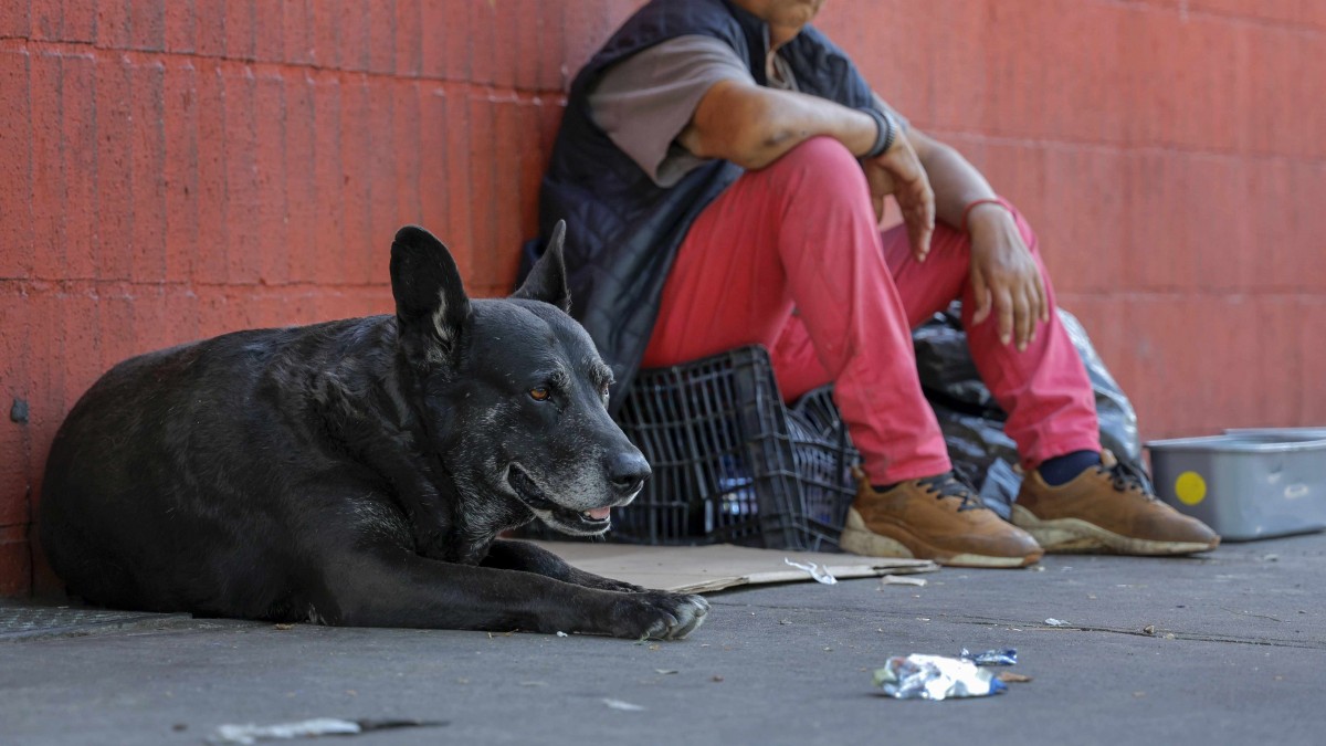 Realizan nuevo catastro de personas en situación de calle: 'Vemos a personas más jóvenes y a más mujeres'