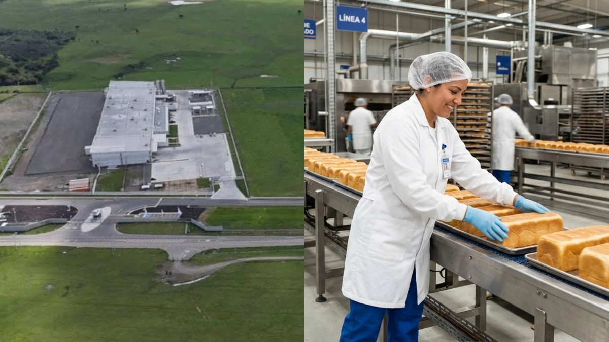 Multinacional anuncia ampliación de planta en región del Ñuble: Aumentará en un 40% su capacidad de empleo