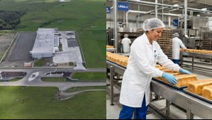 Multinacional anuncia ampliación de planta en región del Ñuble: Aumentará en un 40% su capacidad de empleo