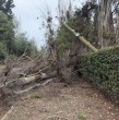 Se registran fuertes ráfagas de viento en la Región Metropolitana con rachas de hasta 50 km/h en sectores precordilleranos. Alejandro Sepúlveda explicó el fenómeno y su evolución durante el día.