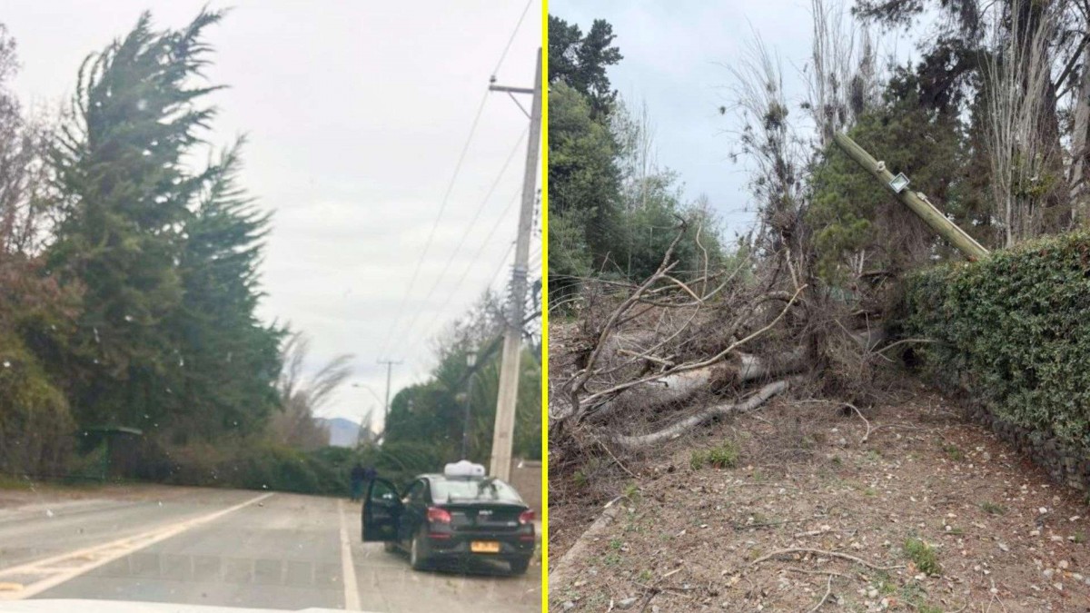Fuertes ráfagas de viento provocan voladura de techos y árboles caídos en la RM