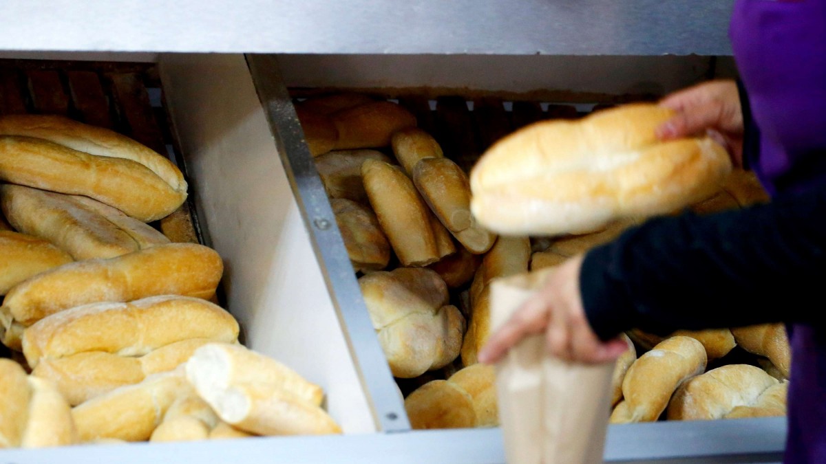 Tras cifras entregadas por el INE: Panaderos y consumidores discrepan por caída del 4% en el precio del pan