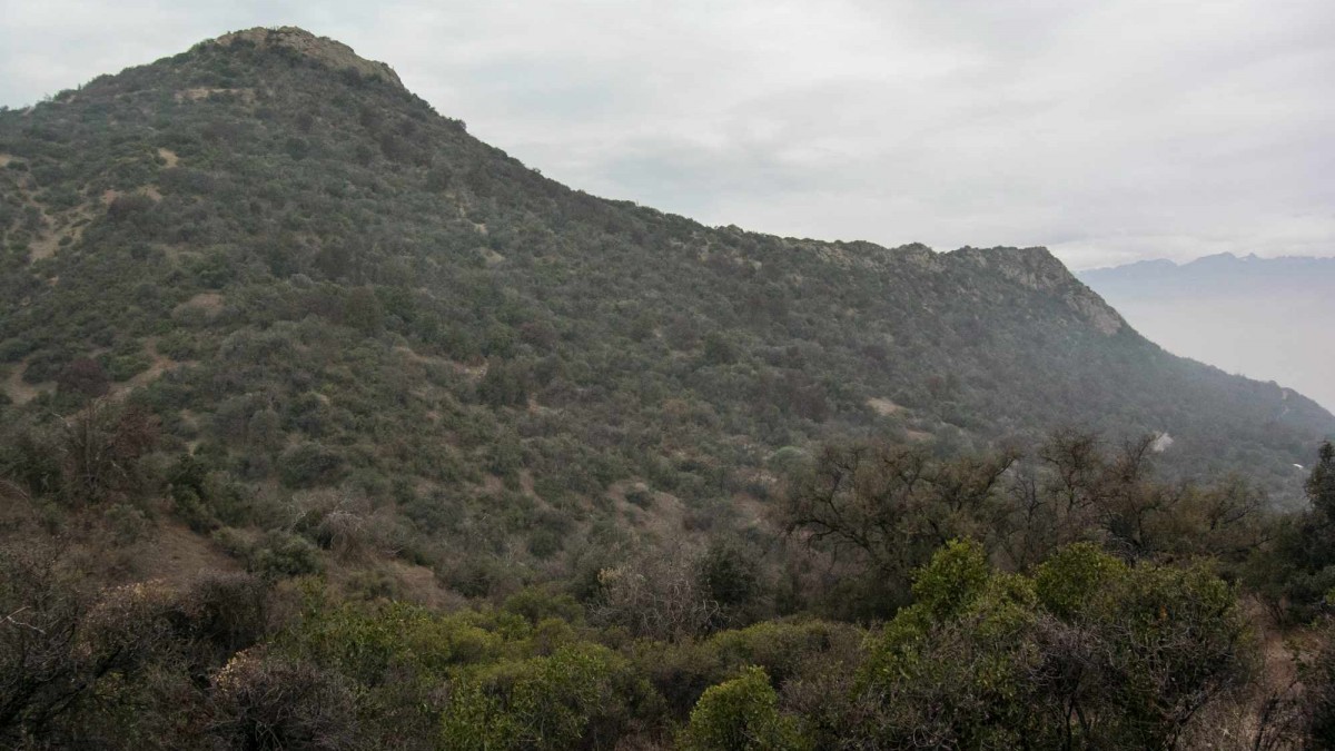 Rescatan a tres excursionistas extraviados en el Manquehuito: no tenían equipo para pasar la noche