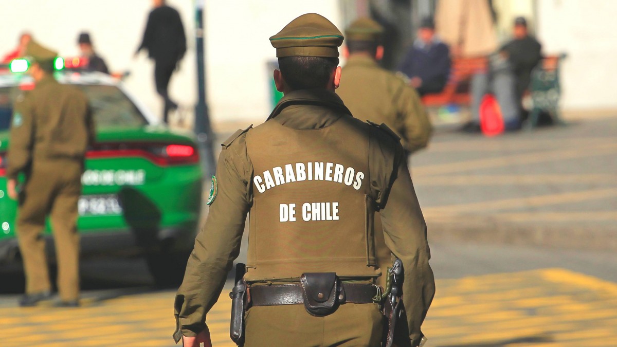 Salió a cuidar animales y no regresó: intensa búsqueda de mujer de 53 años desaparecida en Quellón