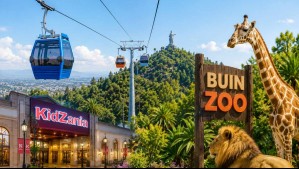 Desde zoológicos hasta parques temáticos: Los panoramas imperdibles para estas vacaciones de invierno