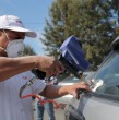 Conoce los grabados de patentes que no están permitidos según la ley que obliga a grabar las patentes en los vidrios y espejos de los autos. Conoce los detalles.