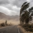 La Dirección Meteorológica de Chile emitió un aviso por viento normal a moderado que se presentará en dos regiones de la zona sur del país. Además, también emitió una alerta por viento moderado a fuerte en otras dos regiones de la zona norte.