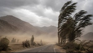 Llegarían a los 100 km/h: Emiten una alerta y un aviso por vientos que afectarán a 4 regiones de Chile