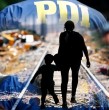 Un informe de la PDI remitido a la Fiscalía Centro Norte concluyó que no existen antecedentes para acreditar tráfico ilícito de migrantes en la denuncia presentada por Migraciones en 2023.