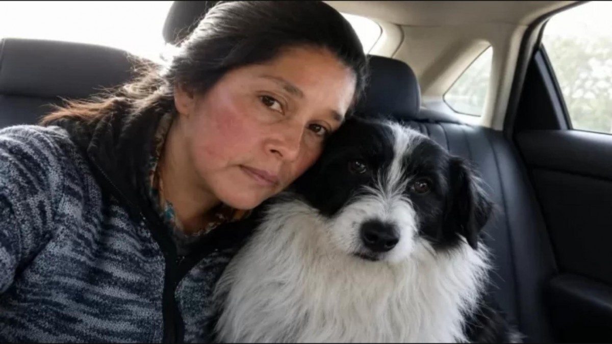 Mujer sobrevive 5 días en bosque con su perro en Quellón