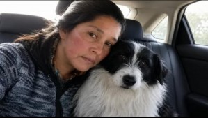 Sobrevivió 5 días en el bosque junto a su perro: comió raíces y logró salir con vida en Quellón