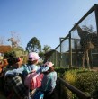 Con el objetivo de ofrecer espacios de encuentro, recreación y aprendizaje para niños, niñas y sus familias durante el receso escolar, el Parque Metropolitano de Santiago (Parquemet) presentó una completa programación de actividades gratuitas .