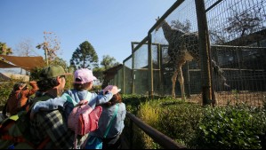 Parquemet despliega cartelera gratuita de actividades por vacaciones de invierno