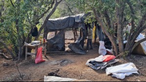 Desmantelan rucos y detienen corte no autorizado de árboles en Parque Nacional La Campana