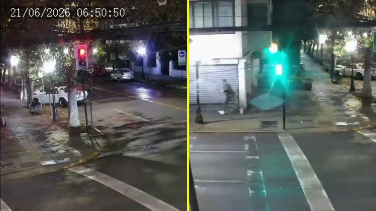 Video muestra que conductor huyó tras chocar Ford Mustang contra un árbol en Providencia