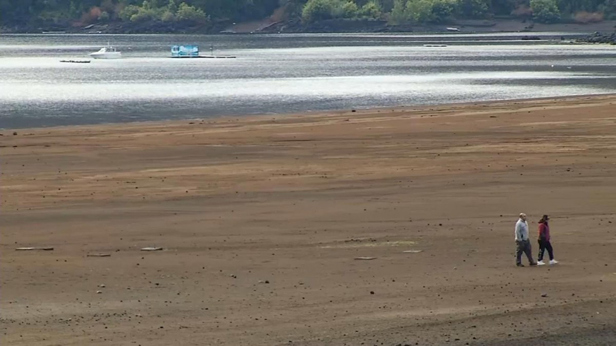 Habría descendido cerca de 200 metros: Preocupación por baja del lago Caburgua