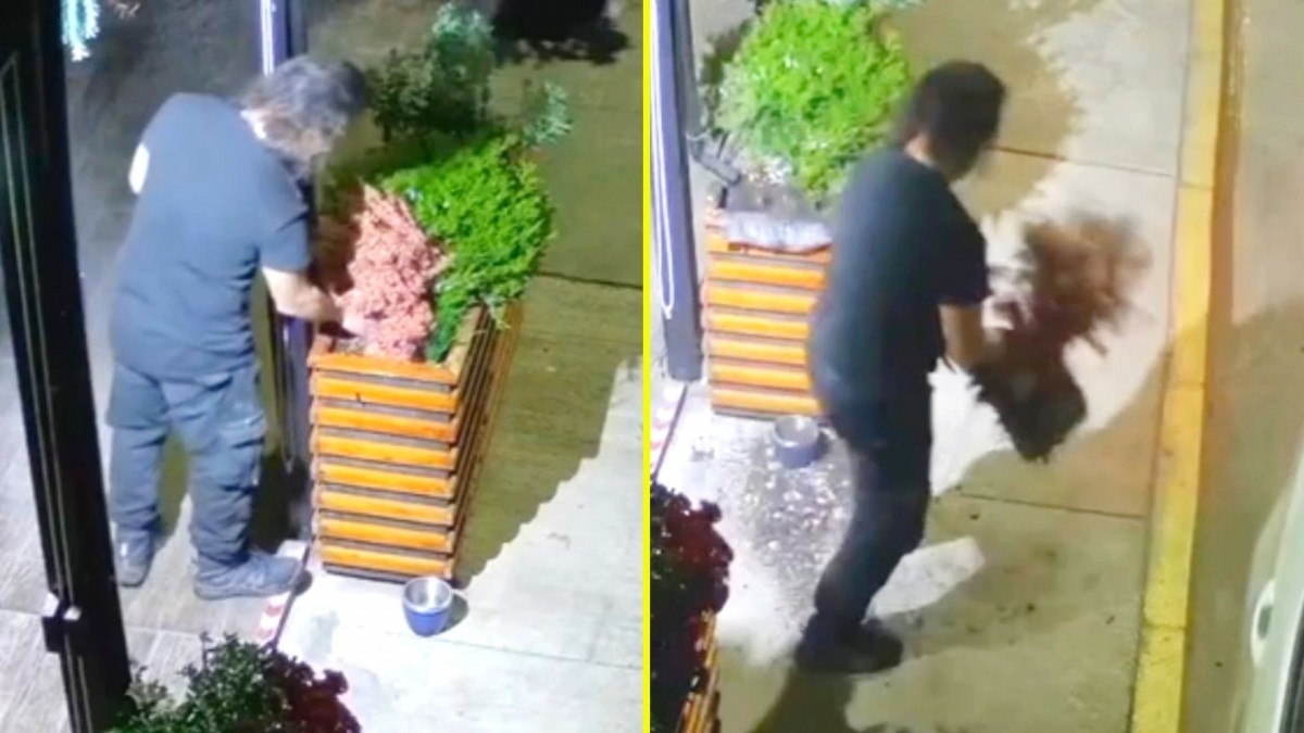Video muestra insólito robo en Concón: Hombre sustrajo una planta desde la terraza de un restaurante