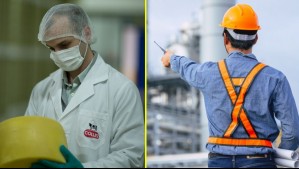 Colún abre nuevas ofertas de trabajo en varias regiones del país: Revisa los cargos disponibles y cómo postular