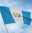 Conoce detalles sobre el descubrimiento de una estructura circular maya de más de 2.000 años de antigüedad que servía de altar para ofrendas y sacrificios humanos en Guatemala.