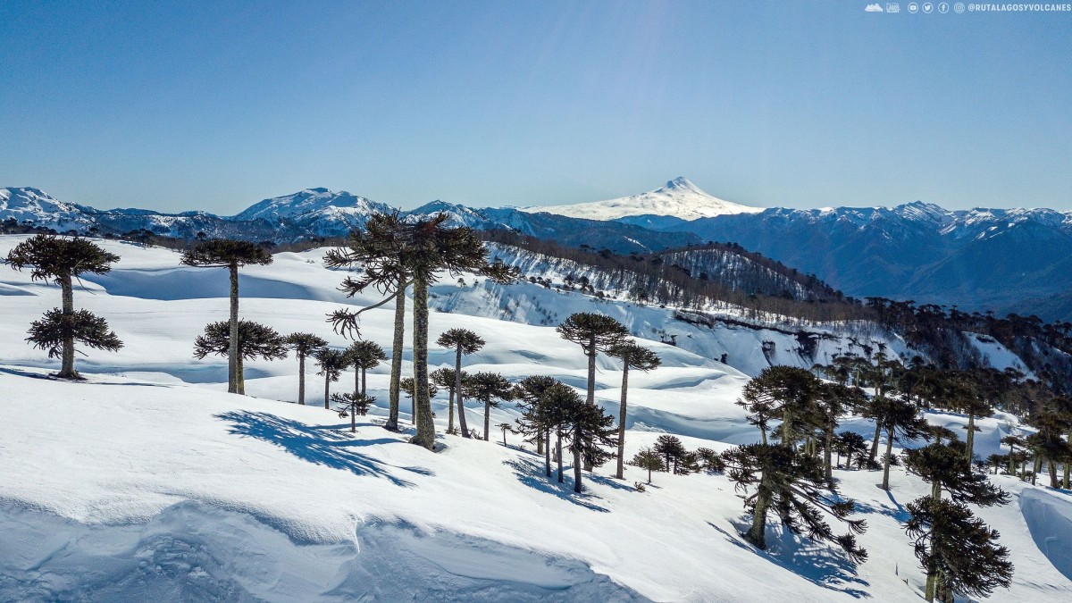 Invierno en el Sur de Chile: destinos imperdibles para disfrutar la nieve y el esquí en la Ruta Lagos y Volcanes